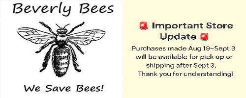 Beverly Bees
